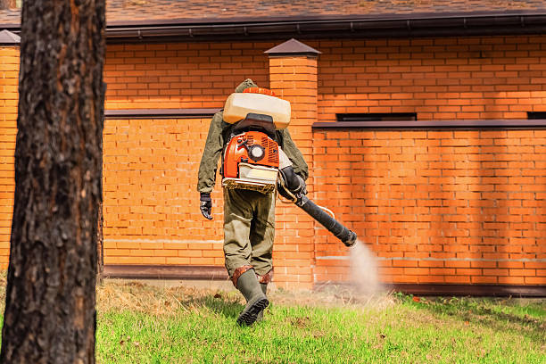 Trusted Mosquito Control service in High Springs, FL - Nex Pest Control